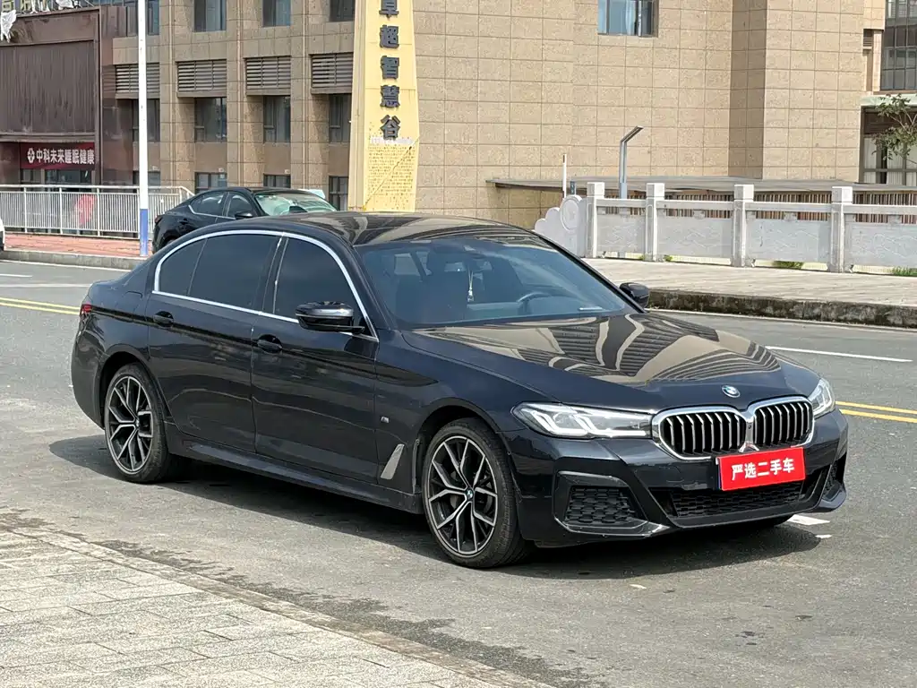 BMW 5 Series — миниатюра 3