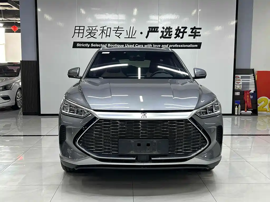 BYD PLUS New Energy 2022