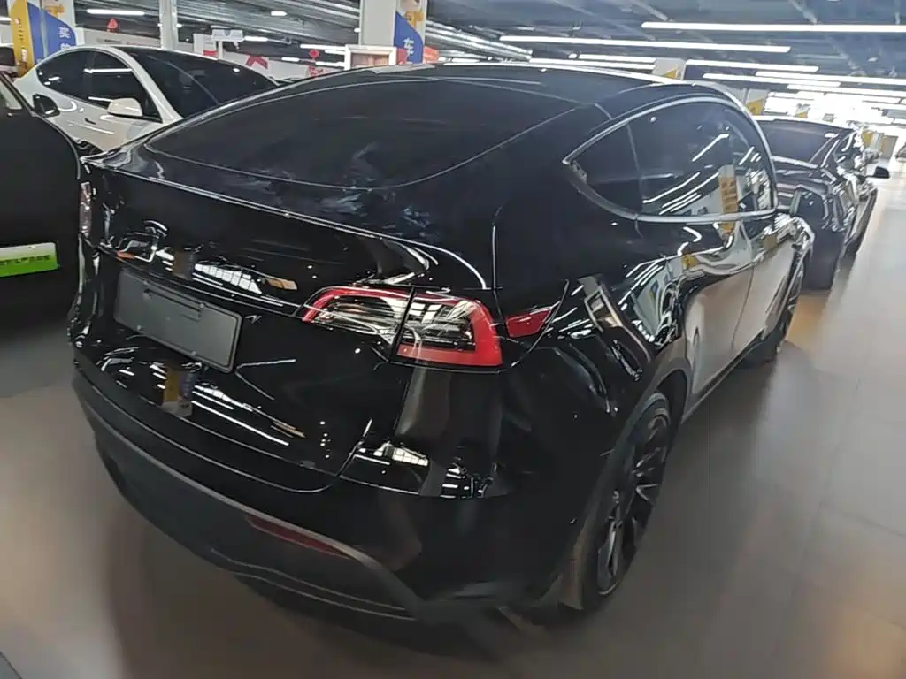 Tesla Model Y — миниатюра 7