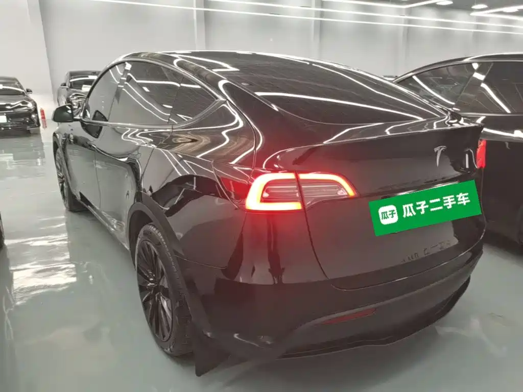 Tesla Model Y — миниатюра 5