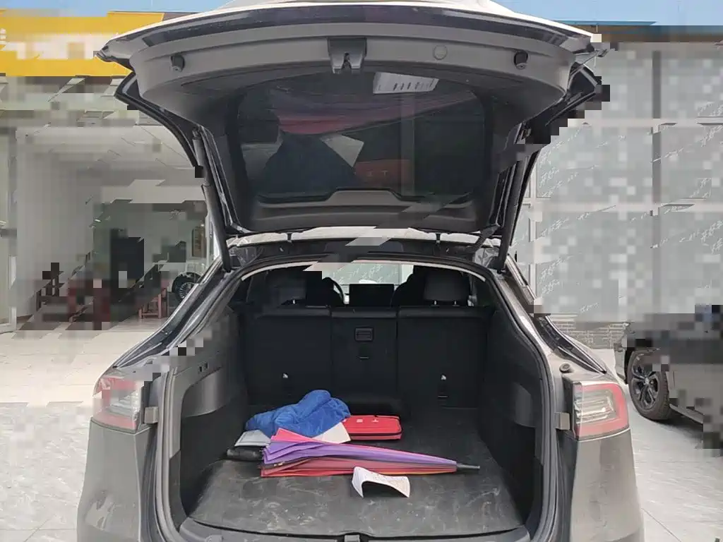 Tesla Model Y — миниатюра 19