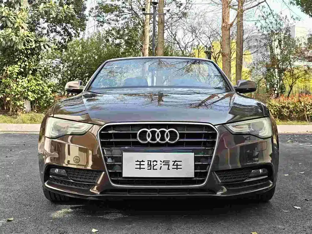 Audi A5 (Import) 2013