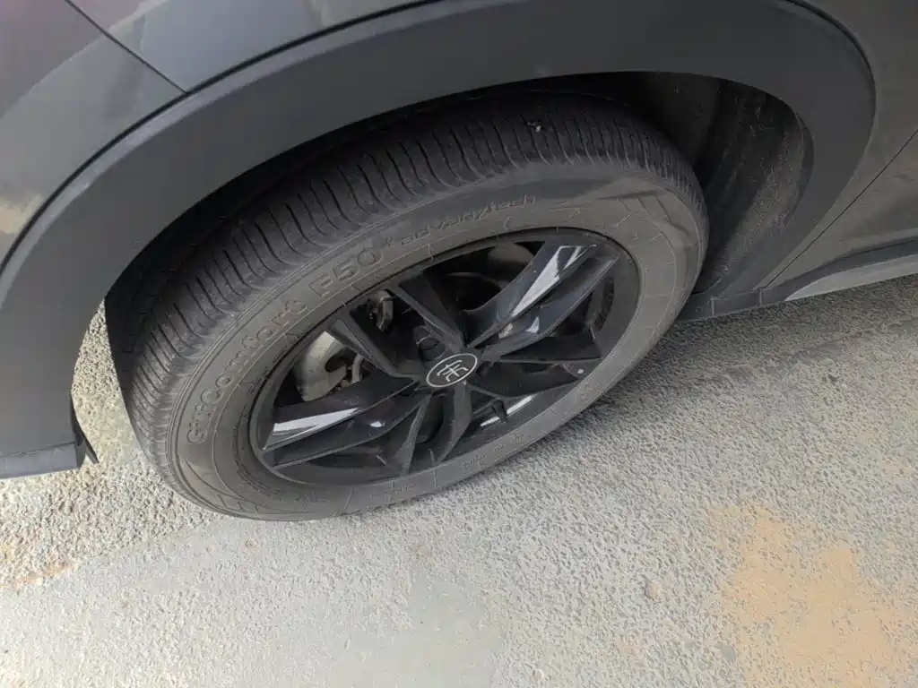 BYD PLUS — миниатюра 23