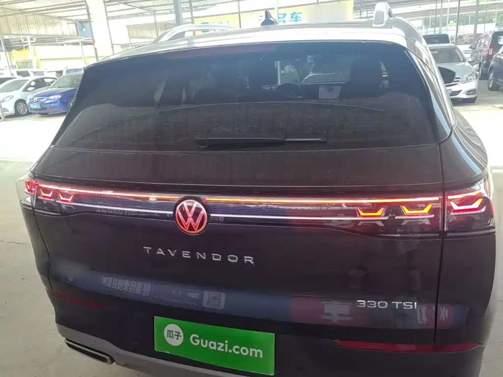 Volkswagen Tavendor — миниатюра 6