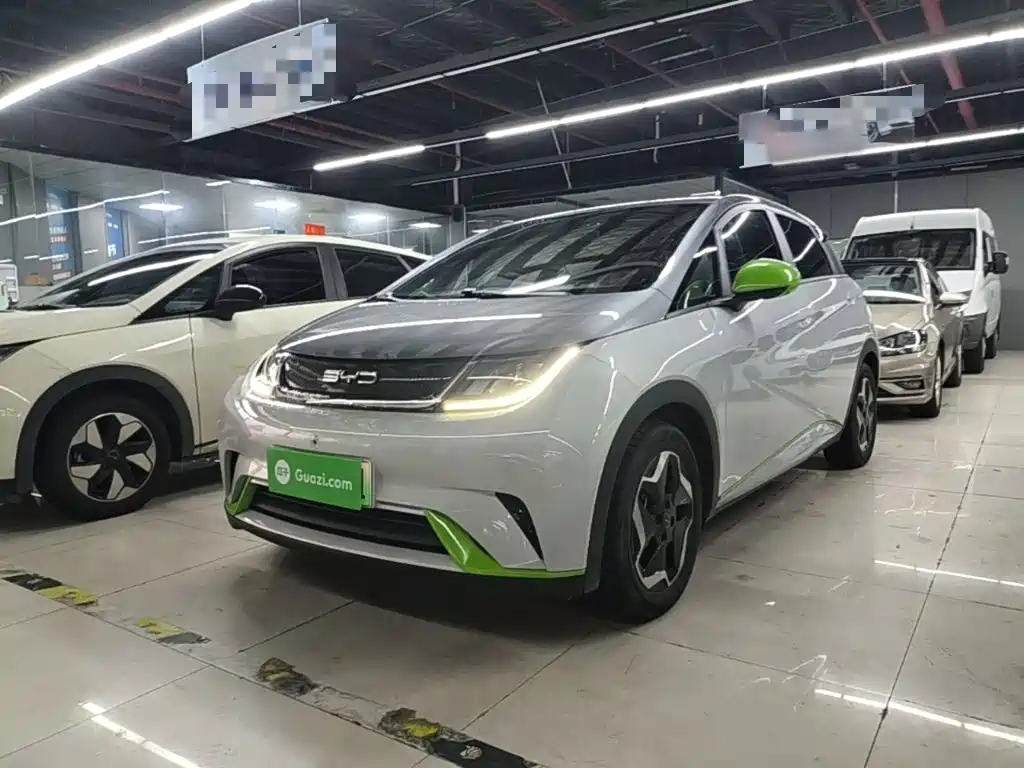 BYD Dolphin — миниатюра 2