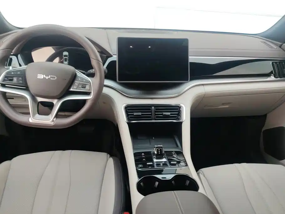 BYD PLUS New Energy — миниатюра 12