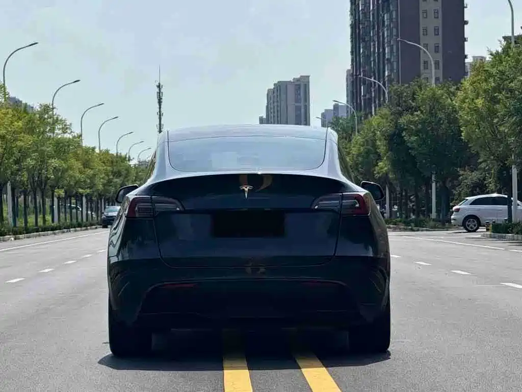 Tesla Model Y — миниатюра 8