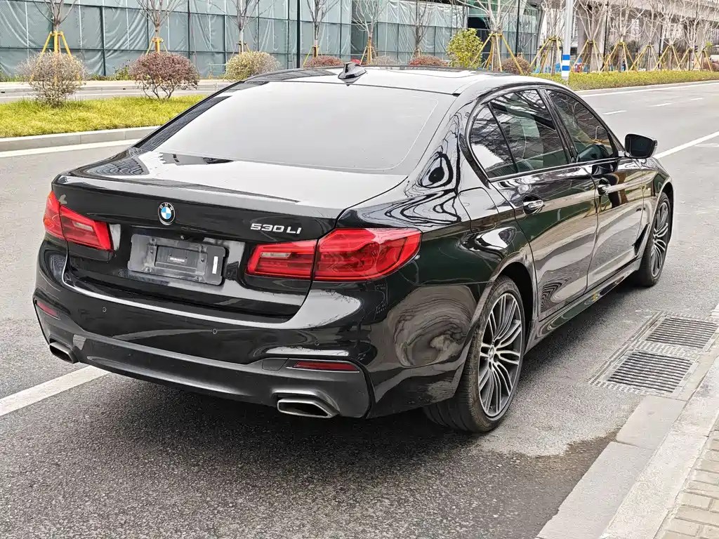 BMW 5 SERIES