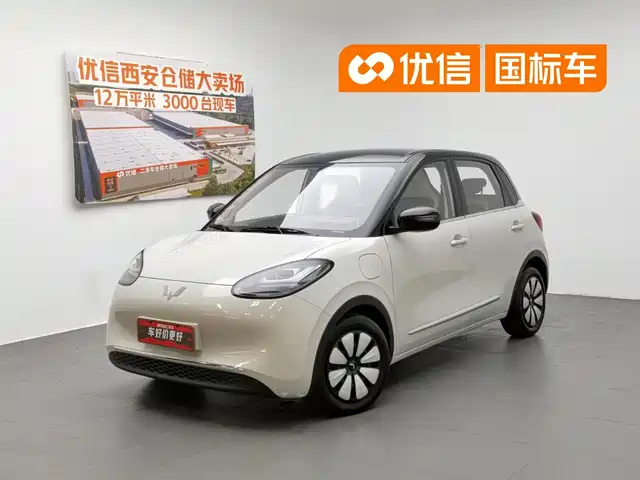 2024 Wuling Motors Binguo
