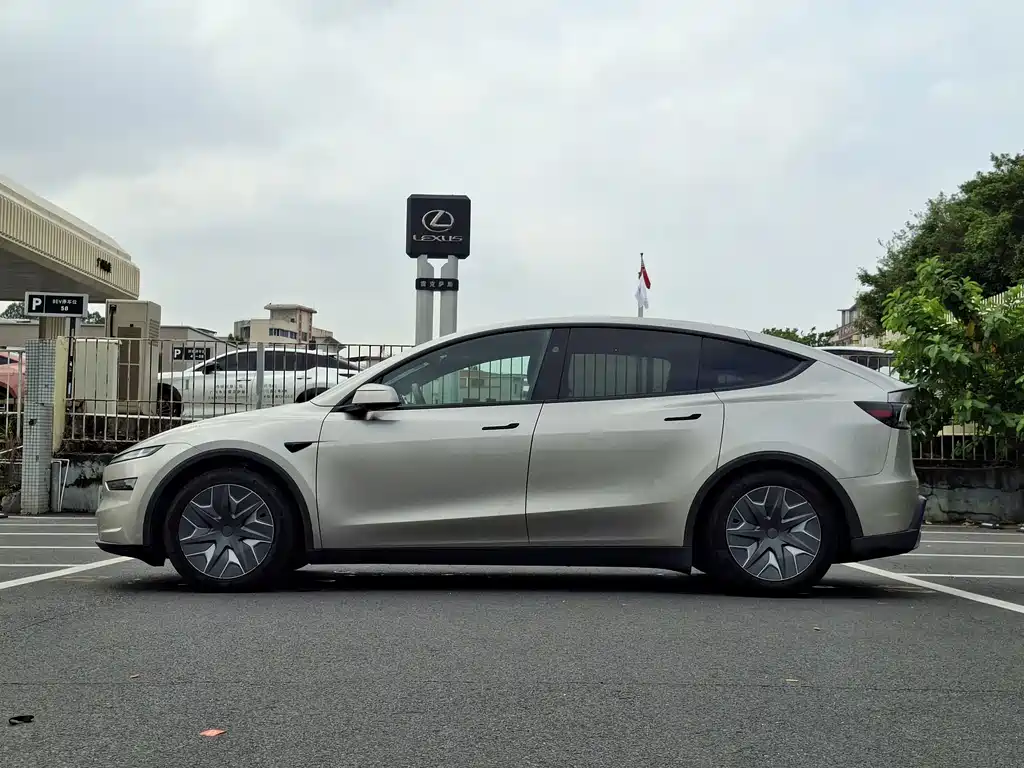Tesla Model Y L — миниатюра 5