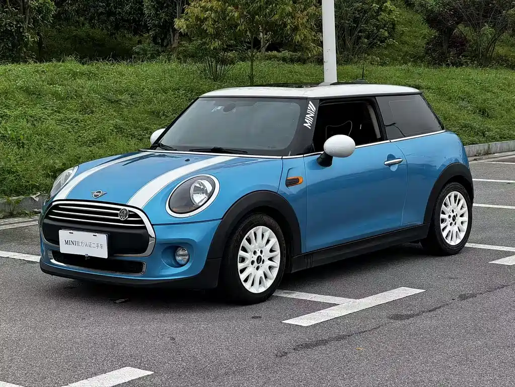Mini Mini 2019