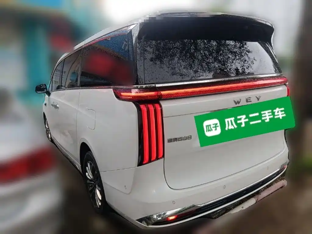 Wey 魏牌 高山新能源 — миниатюра 4