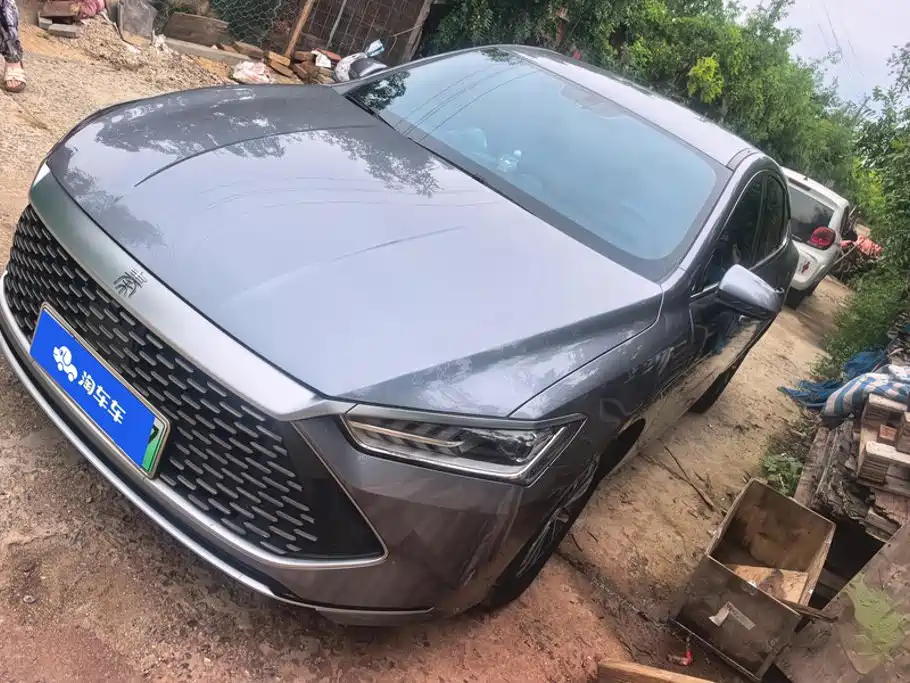 BYD Qin Plus PLUS 2024 DM-i 55KM Lead