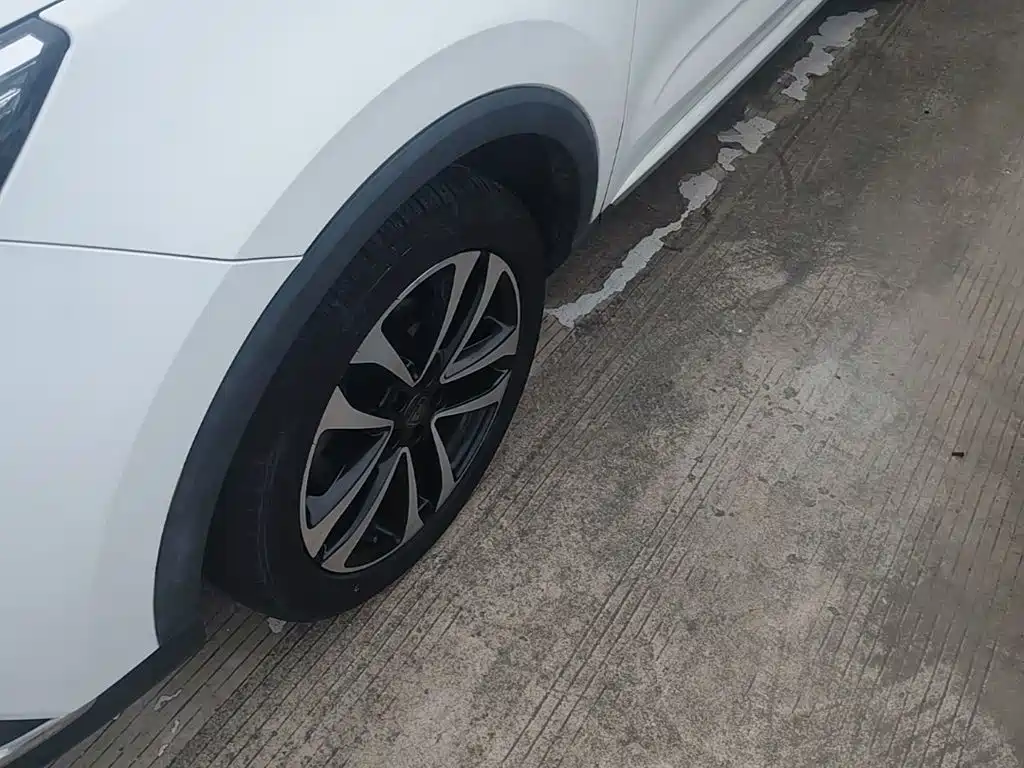 Roewe RX3 — миниатюра 23