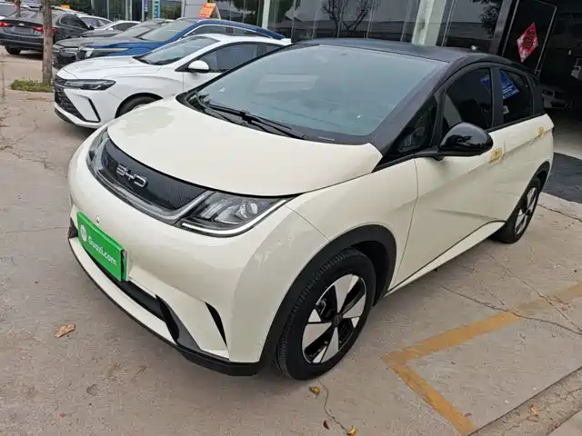 BYD Dolphin