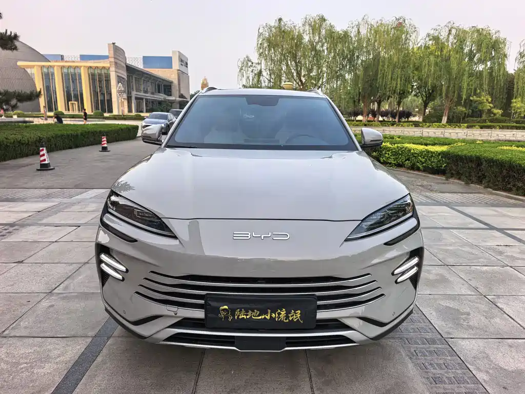 Byd PLUS New Energy 2024