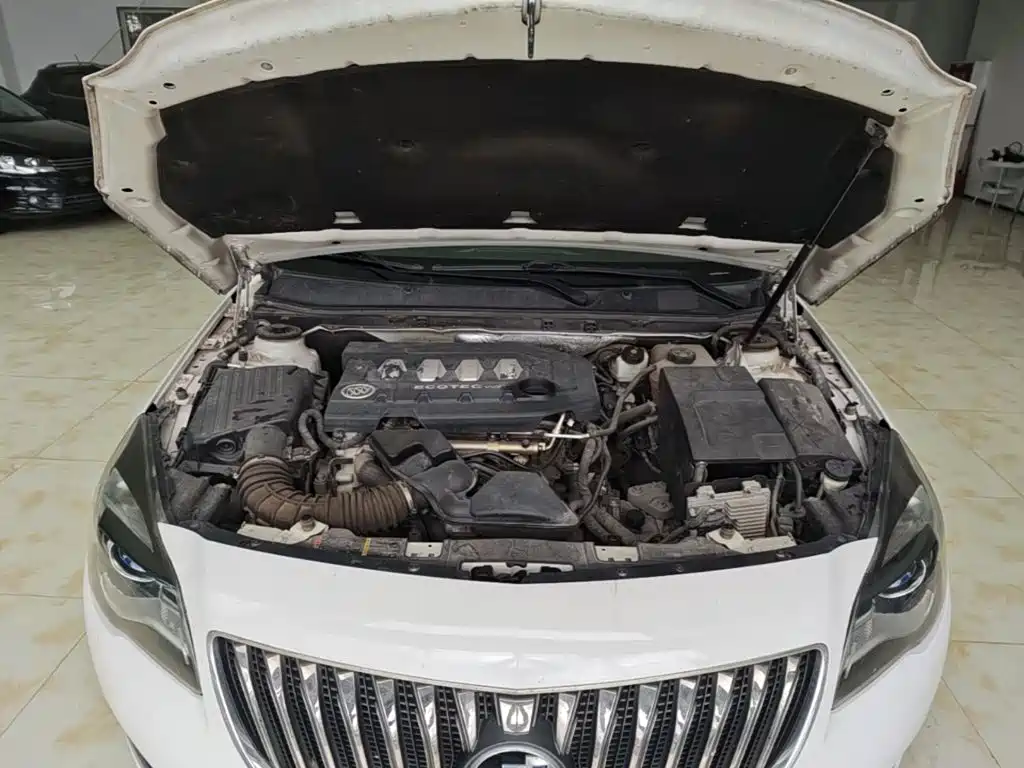 Buick Regal — миниатюра 20