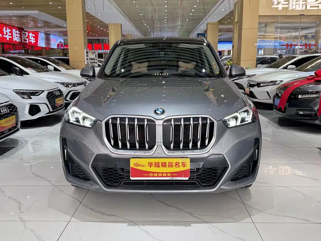BMW X1 — миниатюра 2