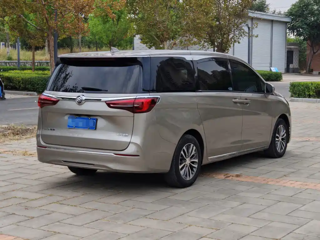 Buick GL8 — миниатюра 4
