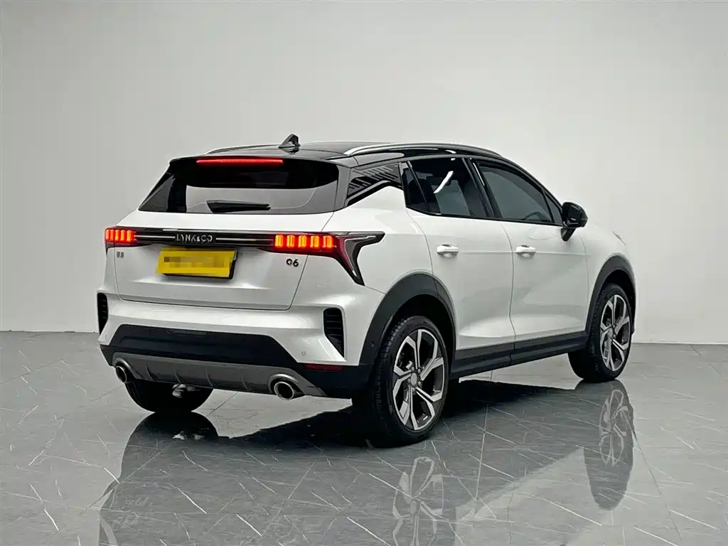LYNK 06