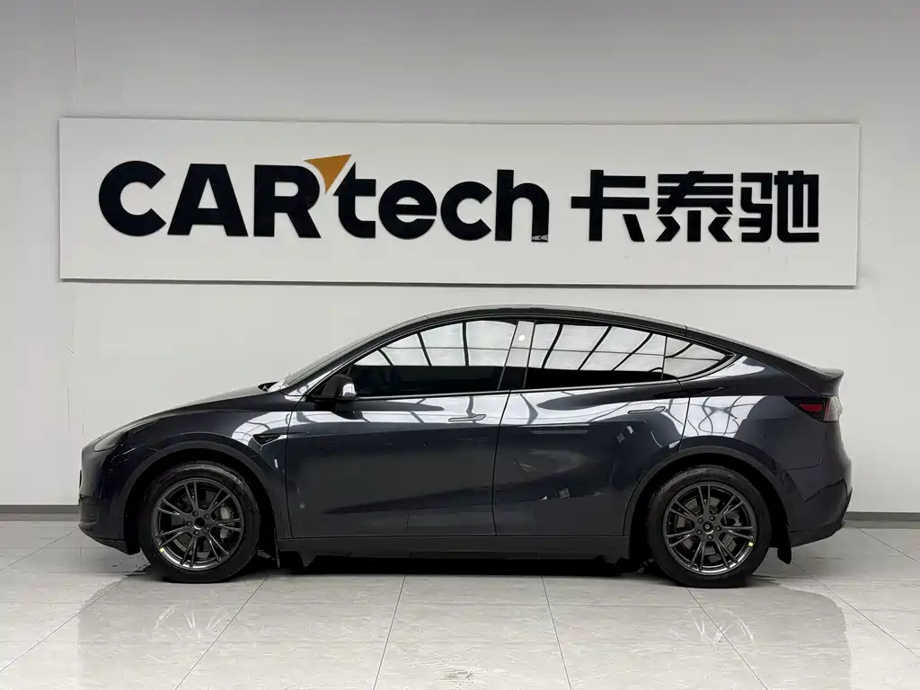 Tesla Model Y — миниатюра 3
