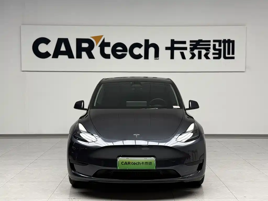 Tesla Model Y — миниатюра 2
