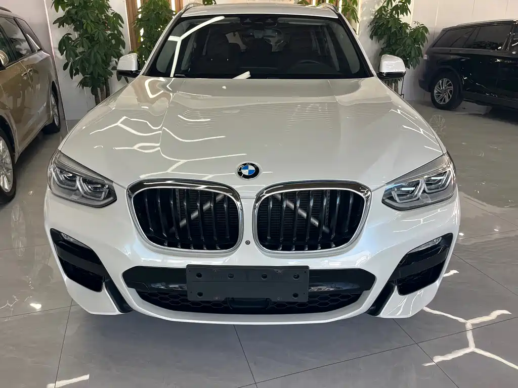BMW X3 — миниатюра 2