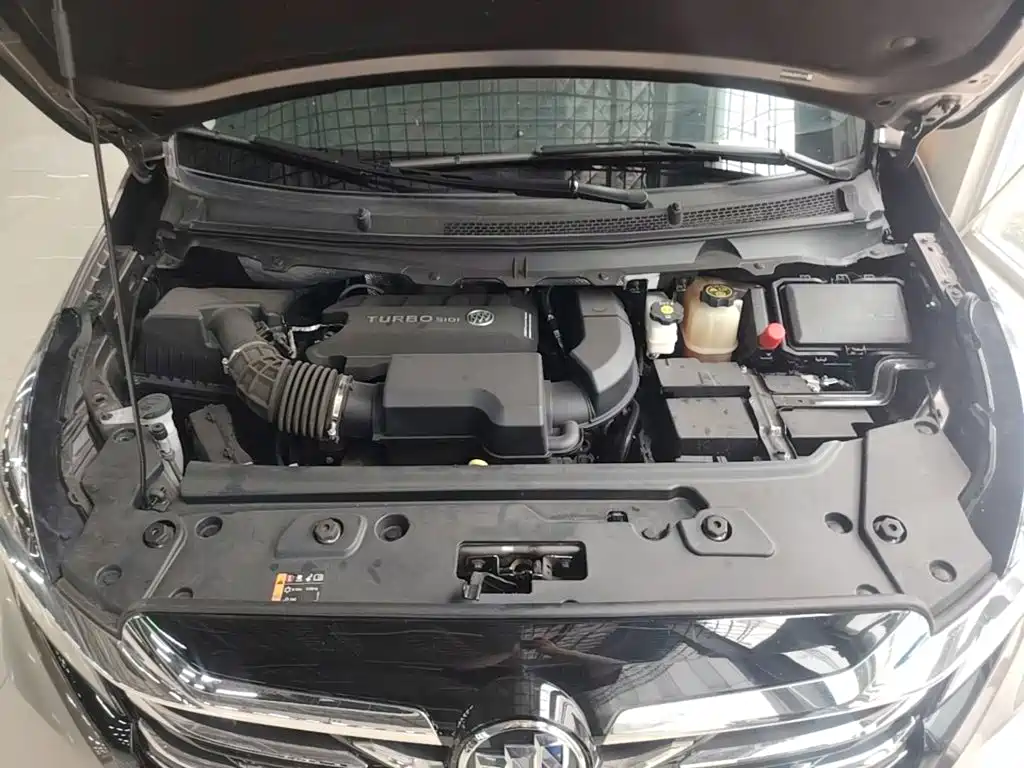 Buick GL8 — миниатюра 20