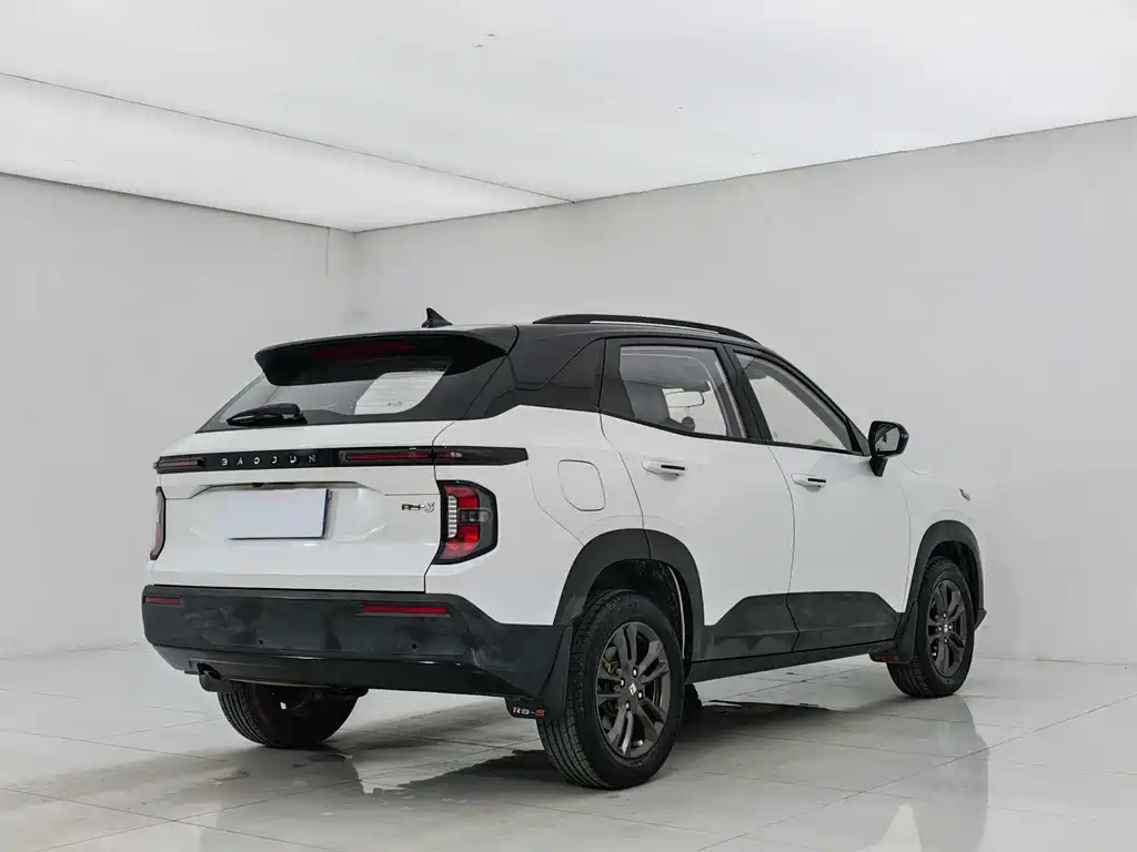 BAOJUN RS 3