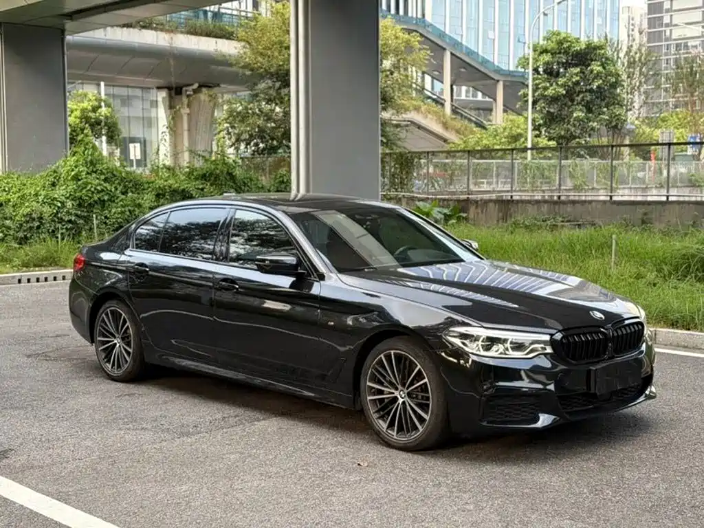 BMW 5 Series — миниатюра 3