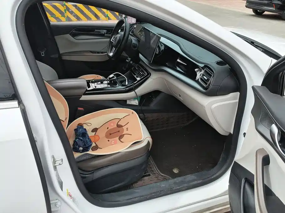 BYD Qin PLUS — миниатюра 8