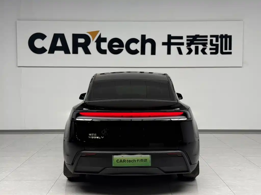 Tesla Model Y — миниатюра 3