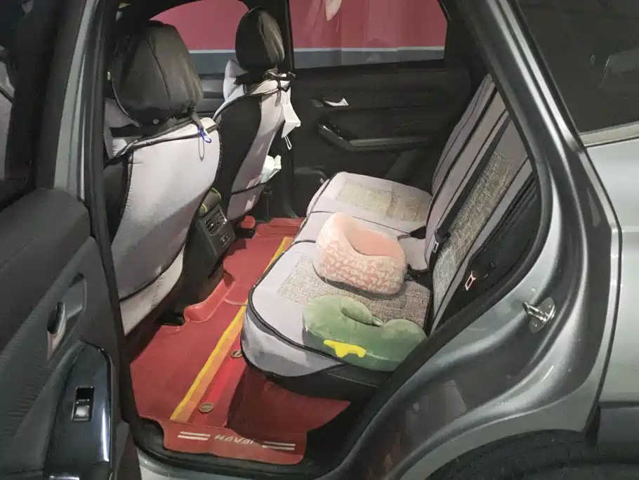Haval Chitu — миниатюра 11
