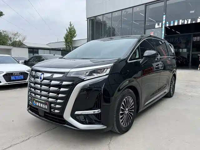 2025 Denza D9
