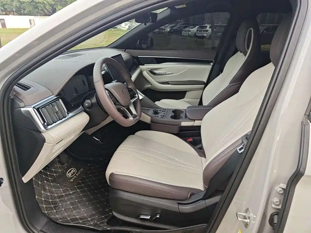 BYD SONGJIANG NEW ENERGY