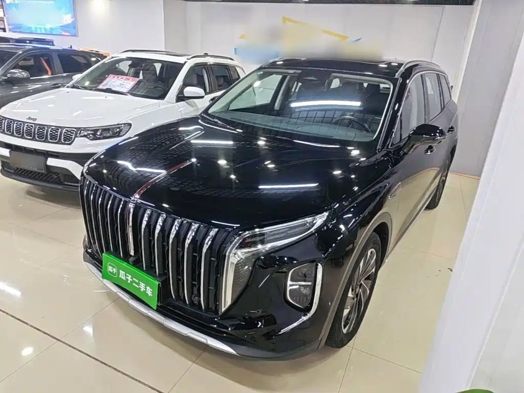 Hongqi Hongqi HS7 PHEV — миниатюра 2