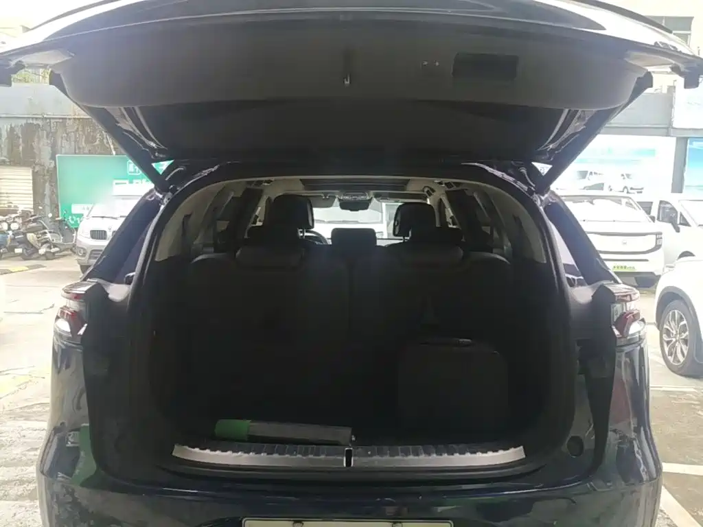 BYD Tang New Energy — миниатюра 19