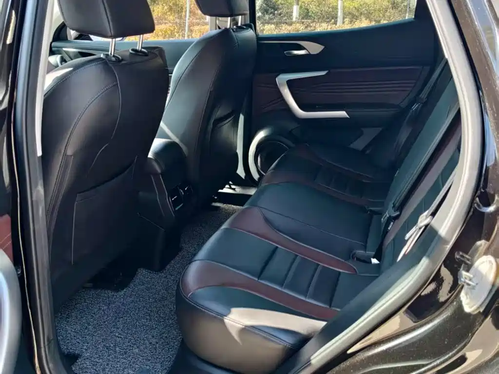 WEI PAI WEI BRAND VV5