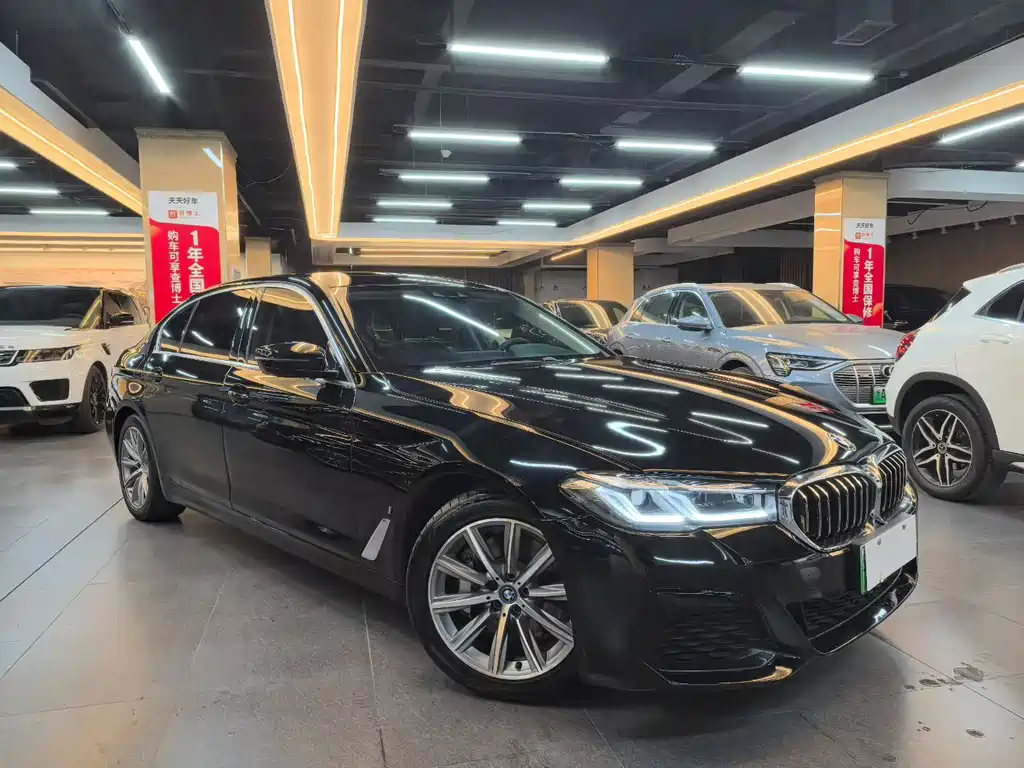 BMW 5 SERIES NEW ENERGY