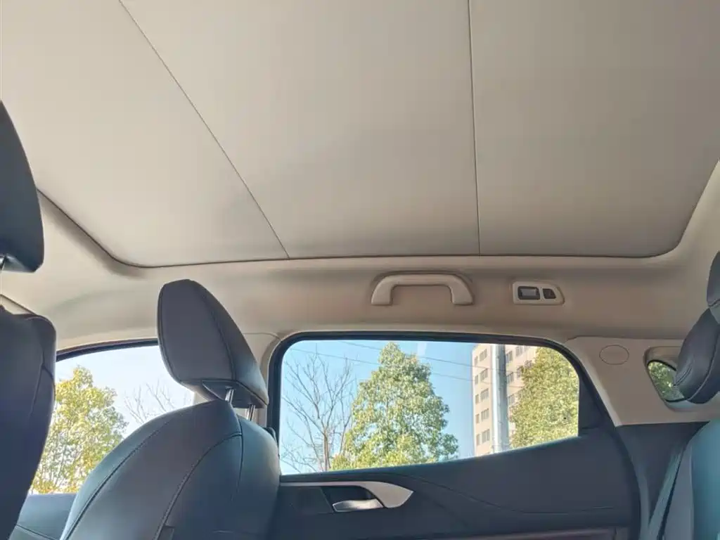 WEI PAI WEI BRAND VV5