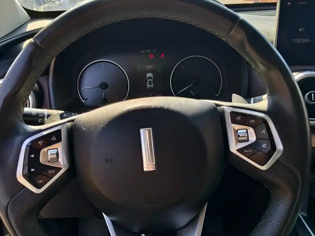 WEI PAI WEI BRAND VV5