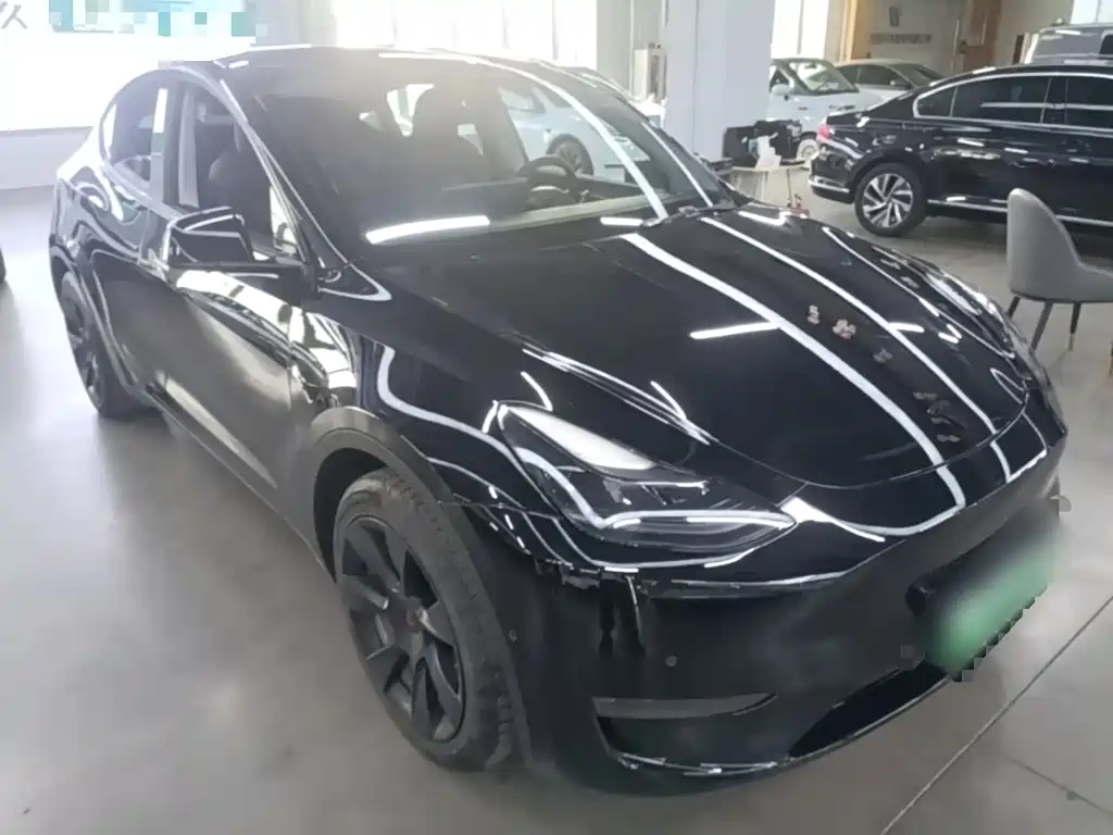 Tesla Model Y — миниатюра 4