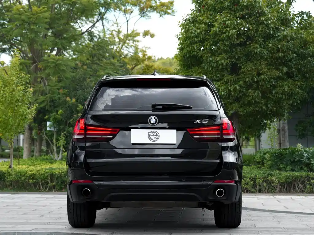 BMW X5 (Import) — миниатюра 17