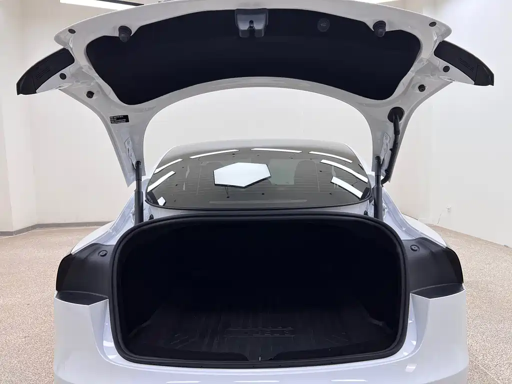 Tesla Model 3 — миниатюра 14