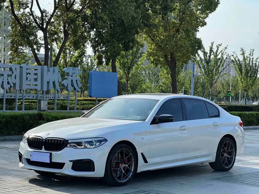 BMW 5 Series 2019