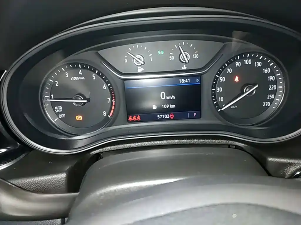 Buick Regal — миниатюра 12