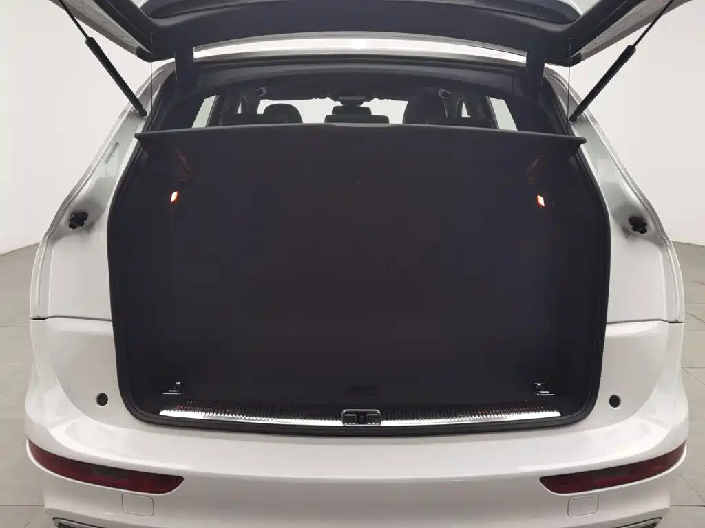 Audi SQ5 — миниатюра 16