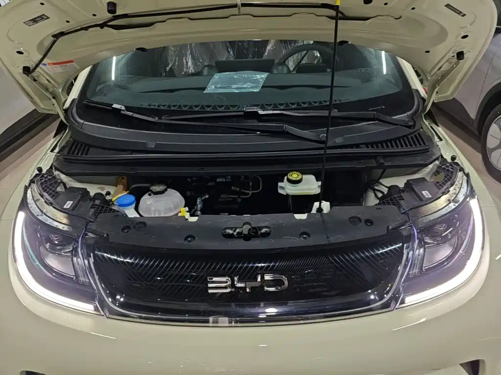 BYD Dolphin — миниатюра 20