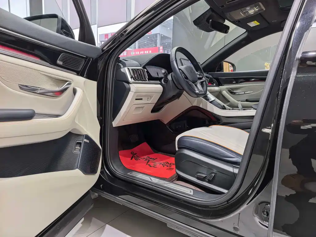 BYD PLUS New Energy — миниатюра 7