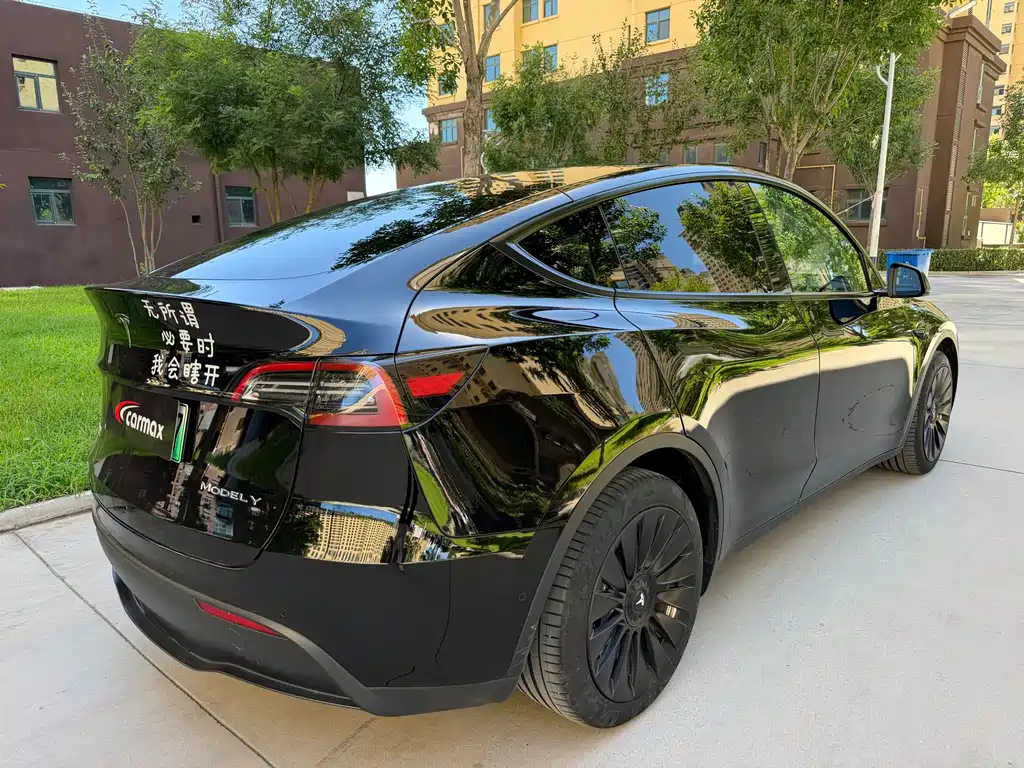 Tesla Model Y — миниатюра 9